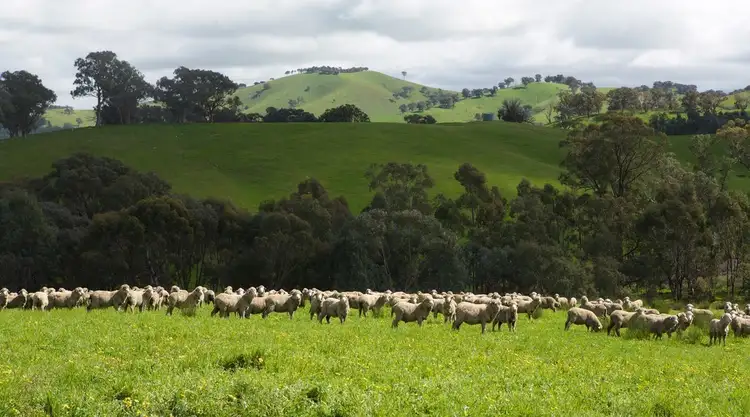 Third view of Homely rural property listing, 935 Highlands Road, Whiteheads Creek VIC 3660