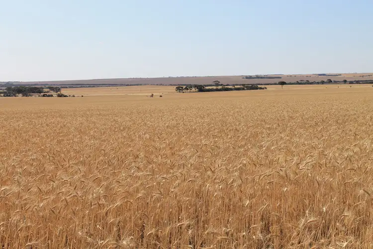 Seventh view of Homely rural property listing, 140 Tolland Road, Karlgarin WA 6358