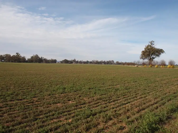 Sixth view of Homely rural property listing, Address available on request