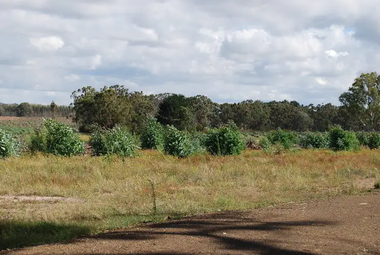 Second view of Homely rural property listing, 85 Fernbank-Stockdale Road, Fernbank VIC 3864