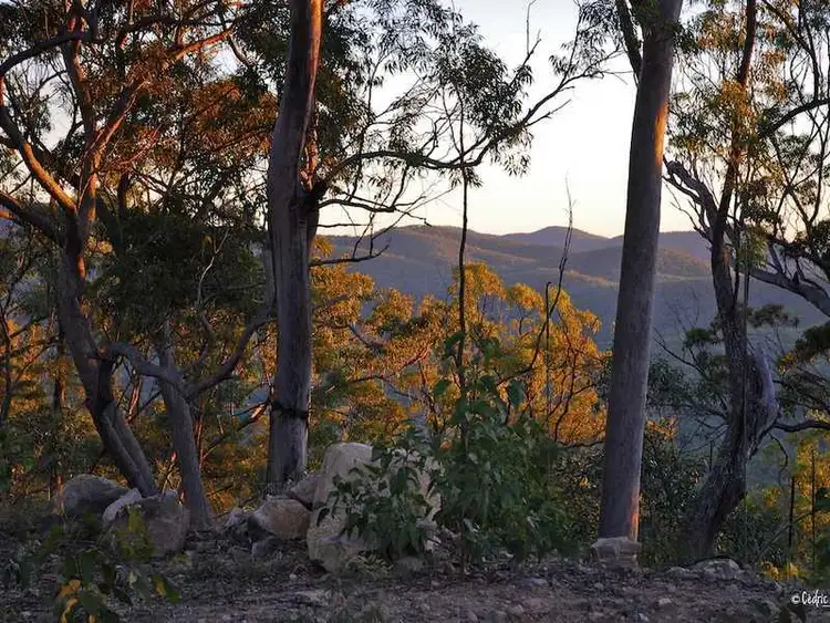 Sixth view of Homely land listing, Lot 32 Baldaw Road, Captain Creek QLD 4677