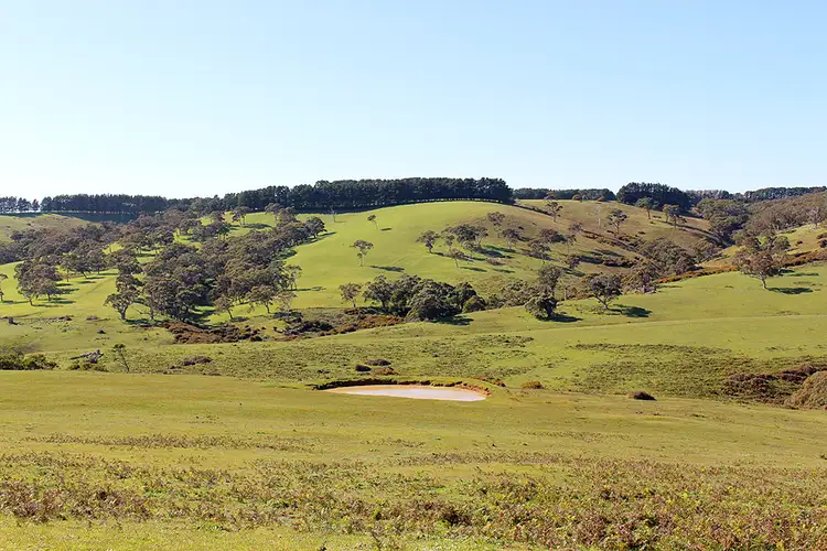 Second view of Homely rural property listing, Lot 20 Main South Rd, Delamere SA 5204