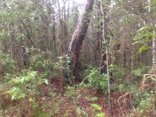 Sixth view of Homely land listing, lot 19 and 20 Creevey Drive, Captain Creek QLD 4677