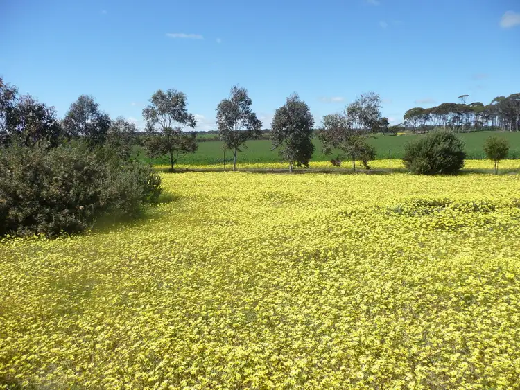 Third view of Homely rural property listing, 2502 Mawson Rd, East Beverley WA 6304