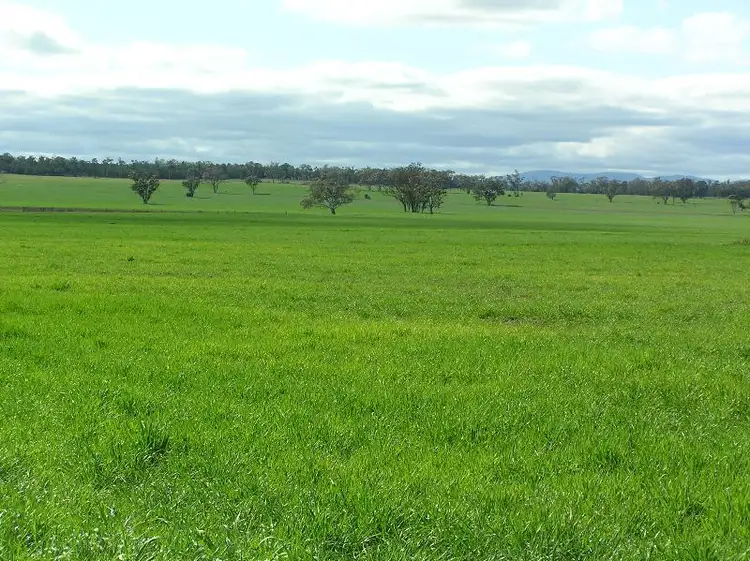 WENETER PARK  1077 Watermark Rd, Gunnedah NSW 2380