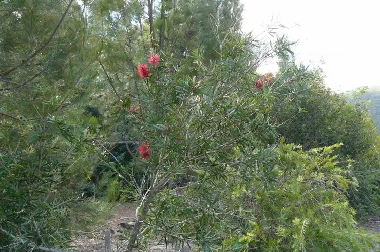 Sixth view of Homely land listing, 17 Lyne Street, Eaglehawk Neck TAS 7179