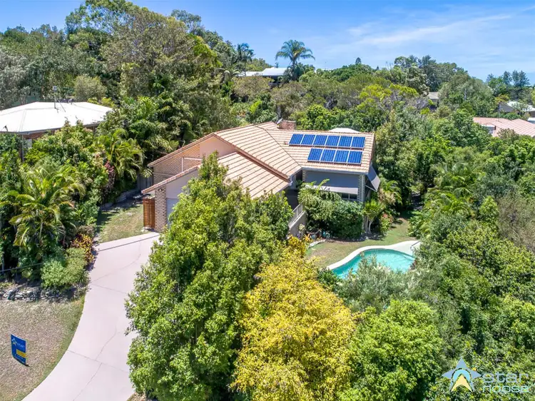 11 Pavonia Street, Peregian Beach QLD 4573