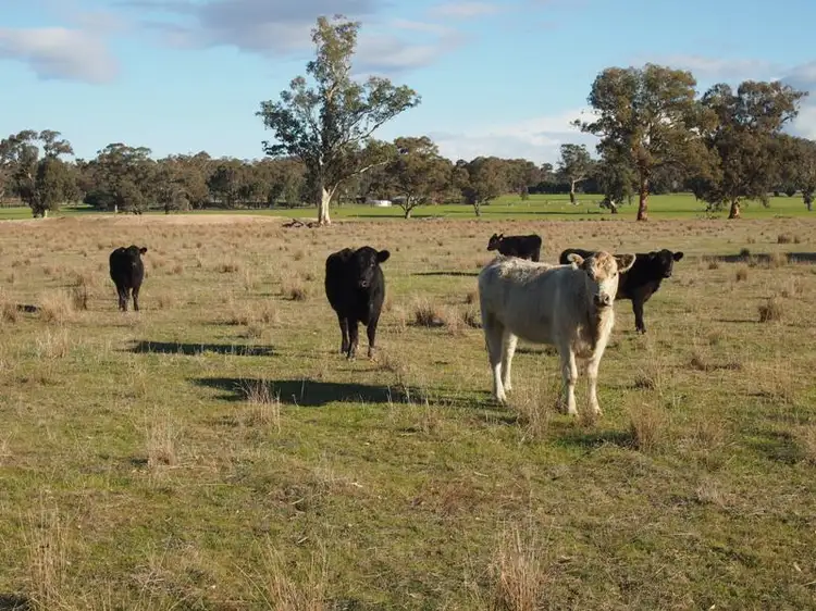 Fourth view of Homely rural property listing, 446 Rushworth-Nagambie Road, Nagambie VIC 3608