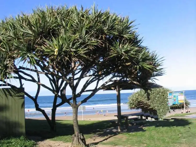 Seventh view of Homely house listing, 1505 David Low Way, Yaroomba QLD 4573