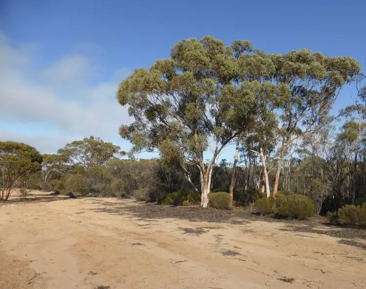 Fifth view of Homely rural property listing, Lot 1395 Westonia Road, Bodallin WA 6424
