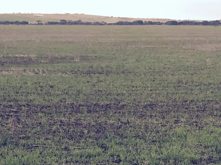 Lot 54 Lincoln Highway, Tumby Bay SA 5605