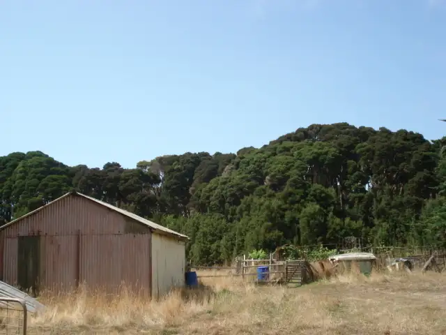 Seventh view of Homely rural property listing, The Esplanade, Naracoopa, King Island TAS 7256