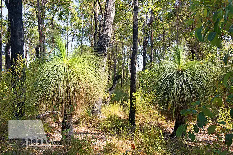 Fifth view of Homely land listing, Lot 5 (24) Brockman Road, Cowaramup WA 6284