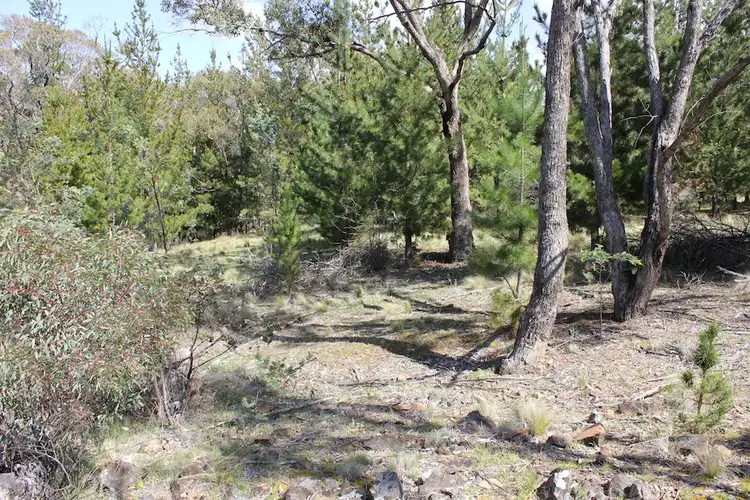 Third view of Homely land listing, Lot 386 Sofala Road, Wattle Flat NSW 2795
