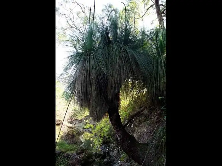 Seventh view of Homely rural property listing, Lot 16, 376 Torryburn Road, East Gresford NSW 2311