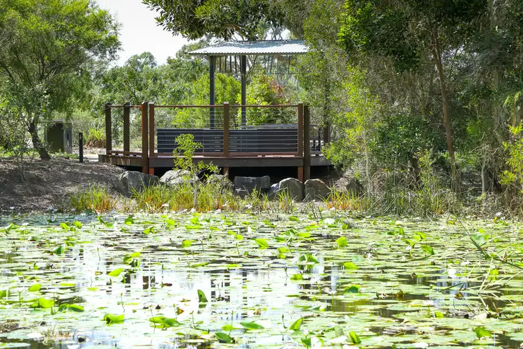 Lot 209 Bay Park Road, Wondunna QLD 4655