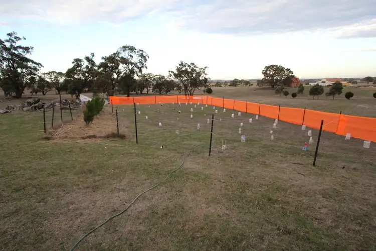 Seventh view of Homely land listing, 211 Smiths Lane, Trawalla VIC 3373