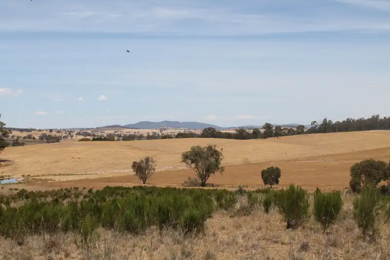 Main view of Homely rural property listing, - 'Rest Downs', Cootamundra NSW 2590