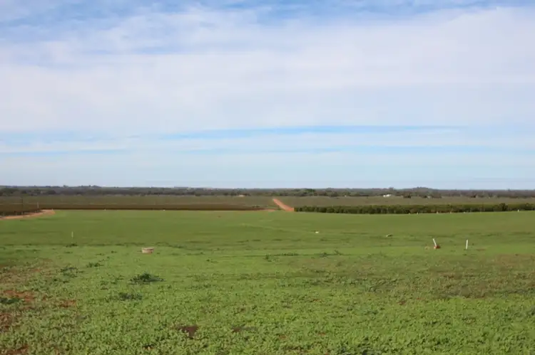 Second view of Homely rural property listing, Lot 82 Lower Winkie Road, Winkie SA 5343
