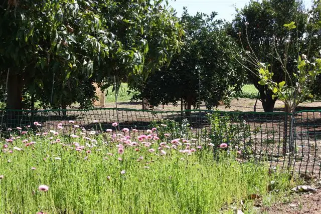 Fourth view of Homely rural property listing, 4680 'Waverley" West Coast Highway, Northampton WA 6535