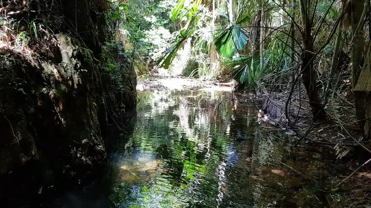 Fourth view of Homely land listing, Lot 514 Silver Ash Road, Daintree QLD 4873