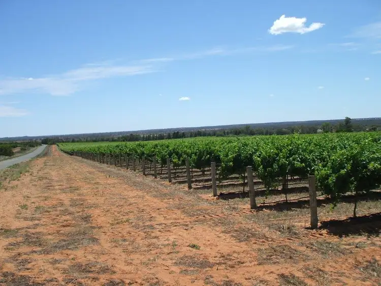 92 Reichstein Road, PYAP via, Loxton SA 5333