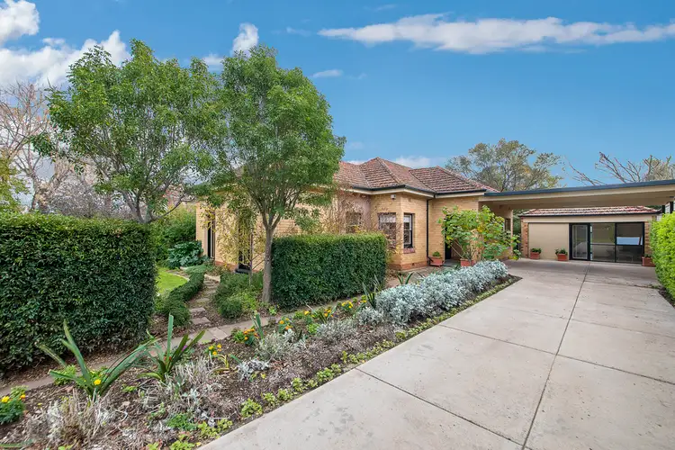 81 Godfrey Terrace, Erindale SA 5066