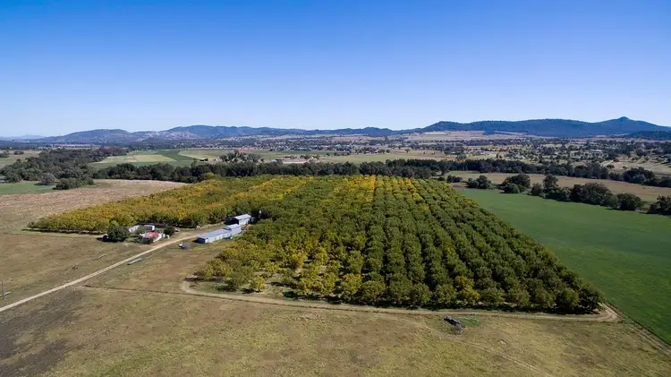 Second view of Homely rural property listing, 294 ORMANS LANE, Kootingal NSW 2352