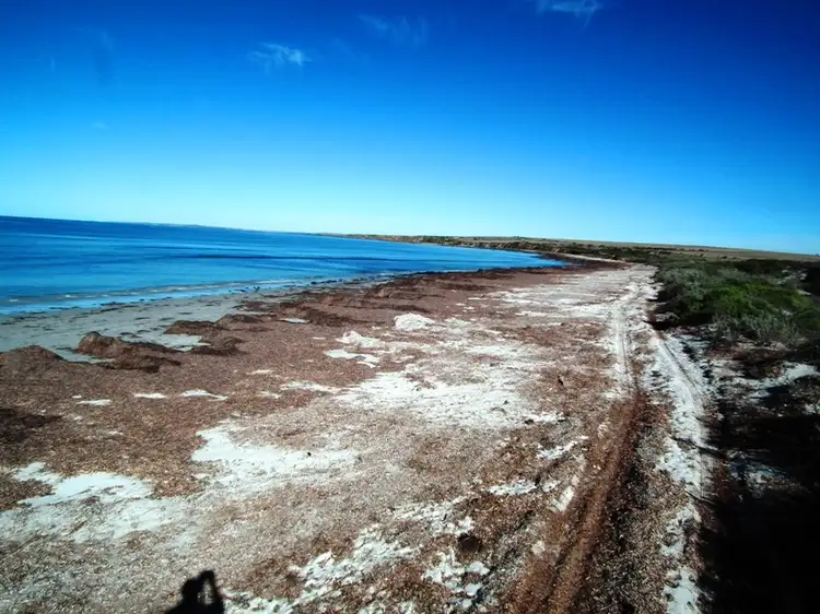 Sixth view of Homely rural property listing, Allotment 100 Hundred of Dixson, Arno Bay SA 5603