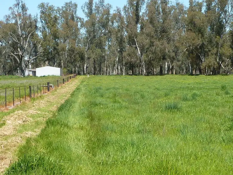 Fourth view of Homely rural property listing, 56 Kyeamba St Ladysmith via, Wagga Wagga NSW 2650