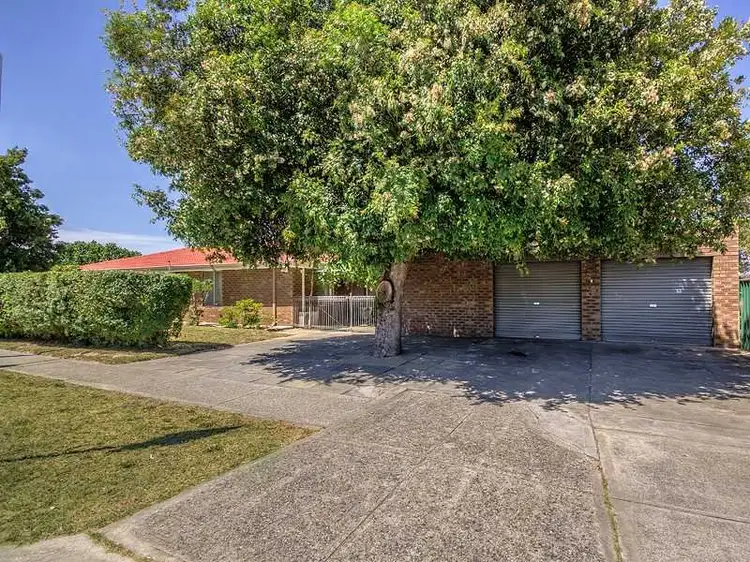 1 Coachwood Way, Maddington WA 6109