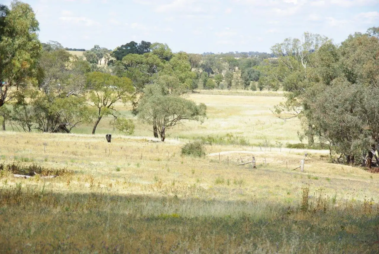 Main view of Homely rural property listing, 6586 Mitchell Highway, Molong NSW 2866