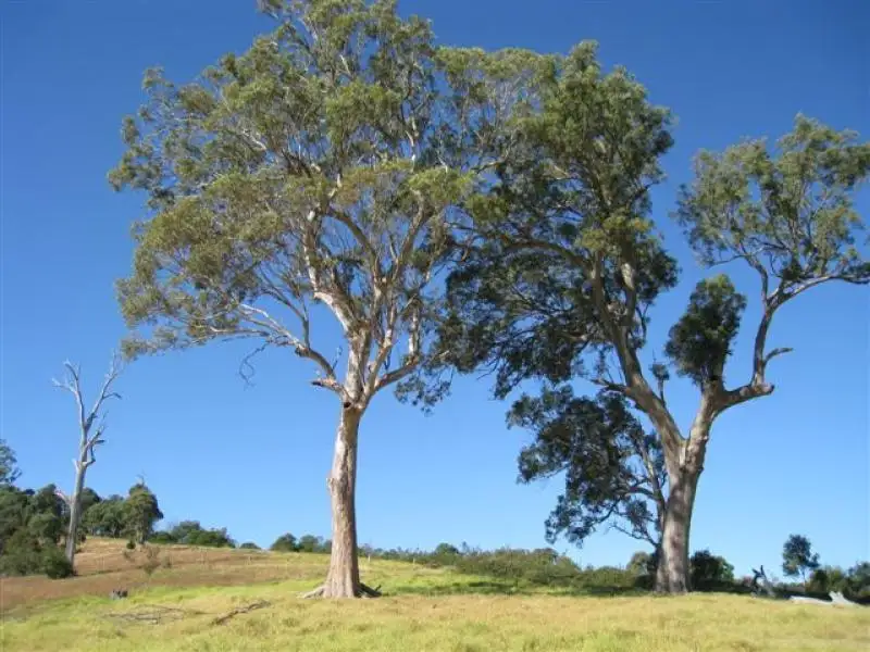 Main view of Homely land listing, Lot 8 & 9 Burnbrook Rd, Bega NSW 2550