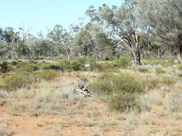 Seventh view of Homely rural property listing, 4730 Murra Murra Road, Cunnamulla QLD 4490