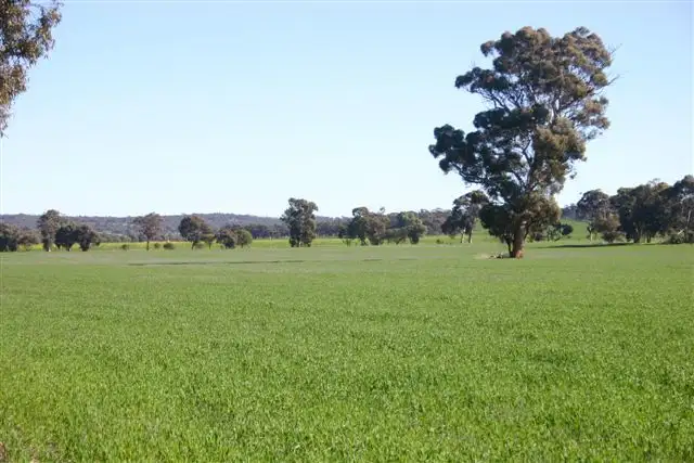 Second view of Homely rural property listing, 23843 Popanyinning West Road, Popanyinning WA 6309