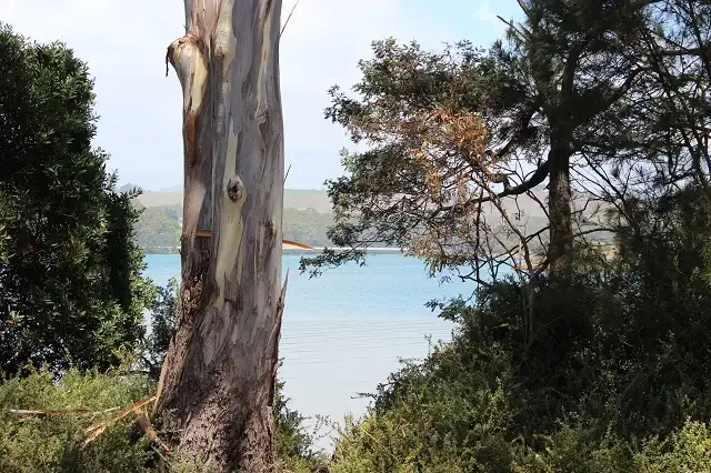 Fifth view of Homely land listing, 6 River Road, West Ulverstone TAS 7315