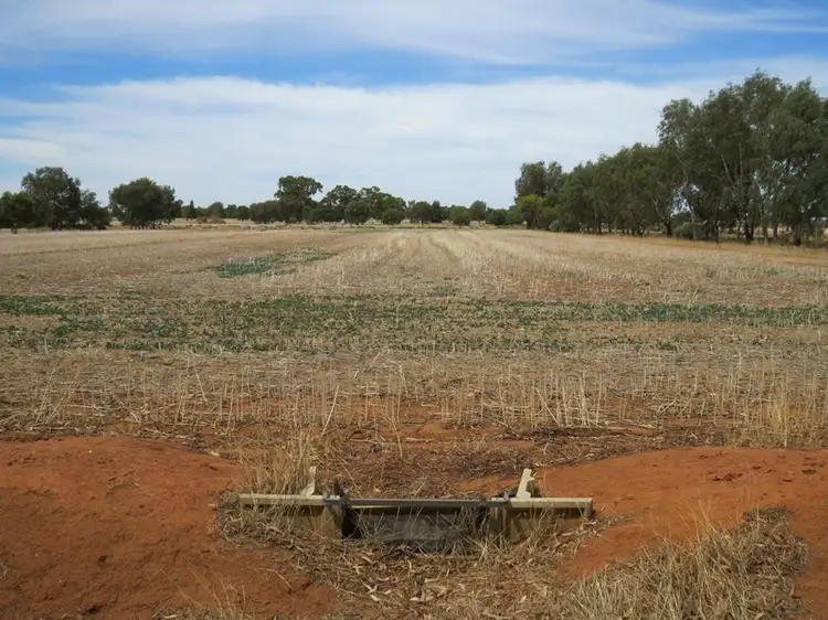 Third view of Homely rural property listing, 1055 ARATULA ROAD, Deniliquin NSW 2710