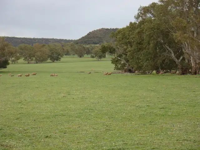 Fourth view of Homely rural property listing, Lot 2 Murphy-Yetna Road, Nanson WA 6532