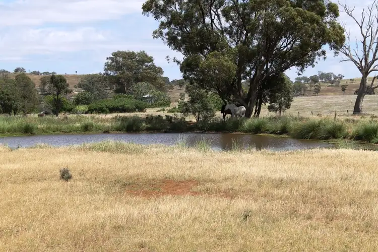 Fourth view of Homely rural property listing, 1640 Goolma Road, Gulgong NSW 2852