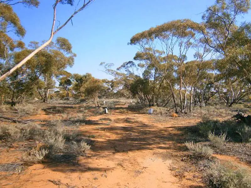 Main view of Homely land listing, 18 Murbko Road, Morgan SA 5320