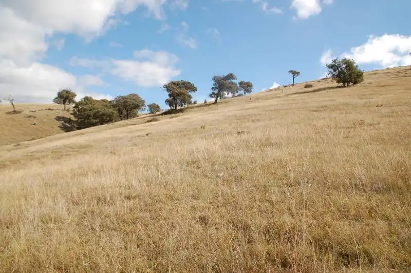 Main view of Homely rural property listing, 127 and 128 Limekilns Road, Bathurst NSW 2795