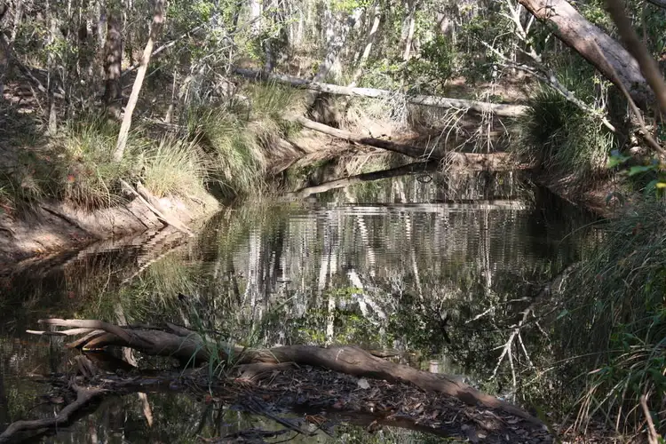 Fifth view of Homely rural property listing, Address available on request