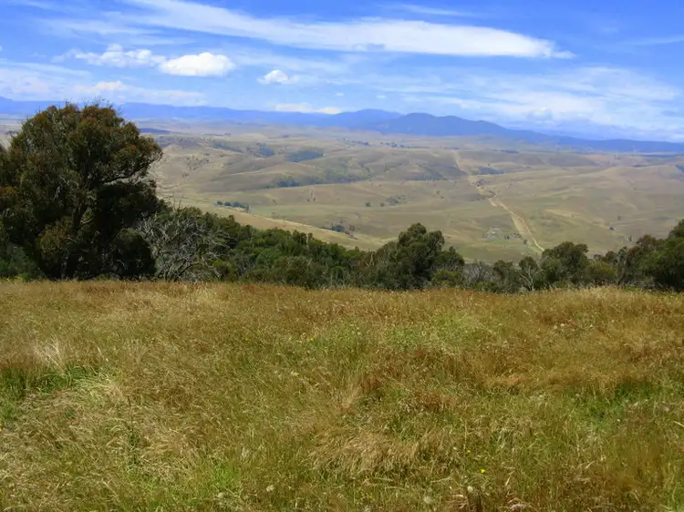 Main view of Homely rural property listing, 1118 Omeo Highway, Omeo VIC 3898