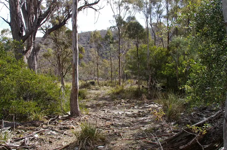 Main view of Homely rural property listing, Lot 3 Distillery Track, Nunamara TAS 7259