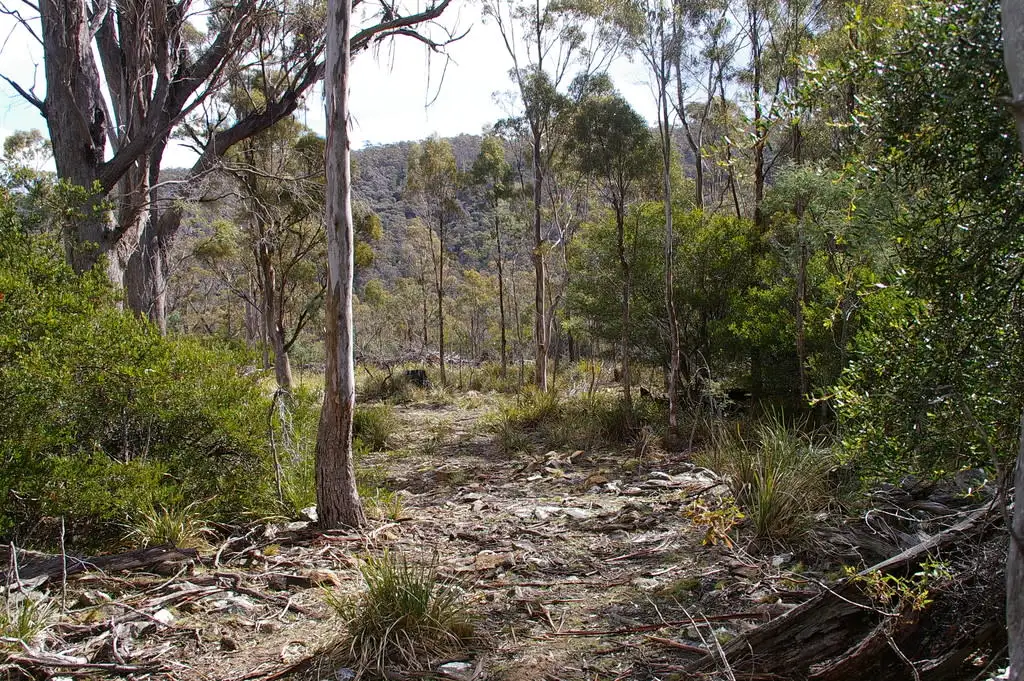 Main view of Homely rural property listing, Lot 3 Distillery Track, Nunamara TAS 7259