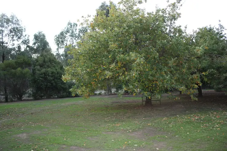 Seventh view of Homely house listing, 81 Donaldson Drive, Broadford VIC 3658