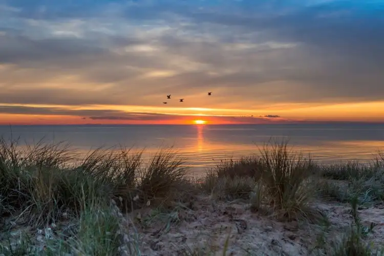 Sixth view of Homely house listing, 11 Ti Tree Close, Seaford VIC 3198