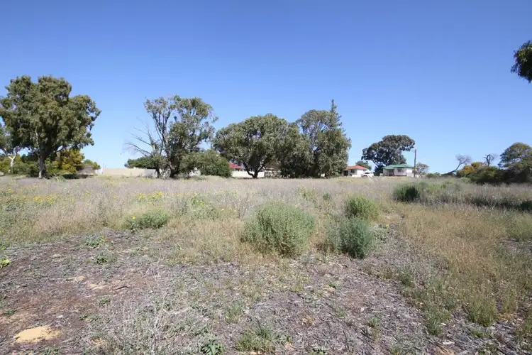 Sixth view of Homely land listing, 8 Nichols Street, Beresford WA 6530