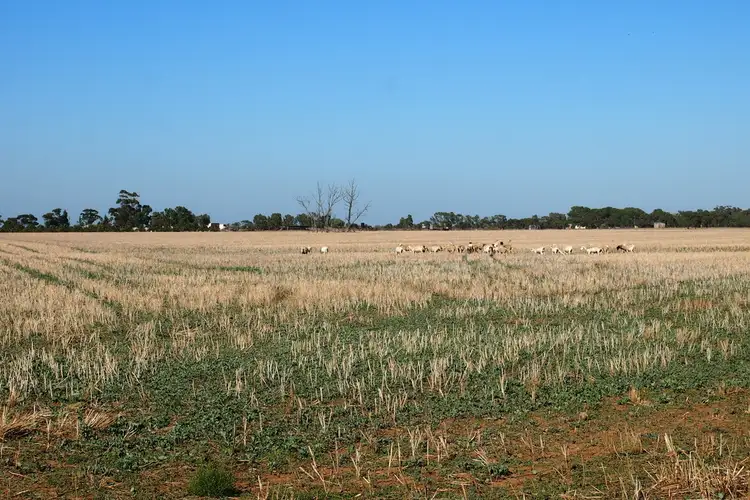 Third view of Homely land listing, Lot 102 Gordon Road, Korunye SA 5502