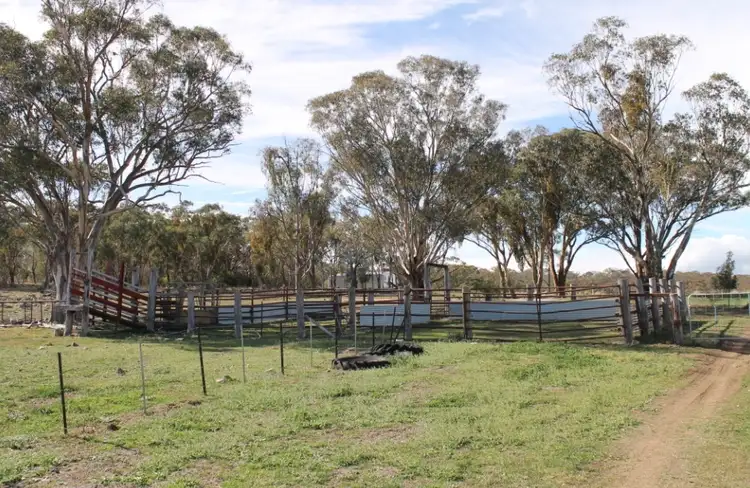 Fifth view of Homely rural property listing, 2962 Gwydir Highway, Inverell NSW 2360